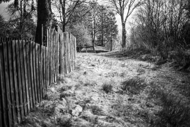 gm_compositions_h_50