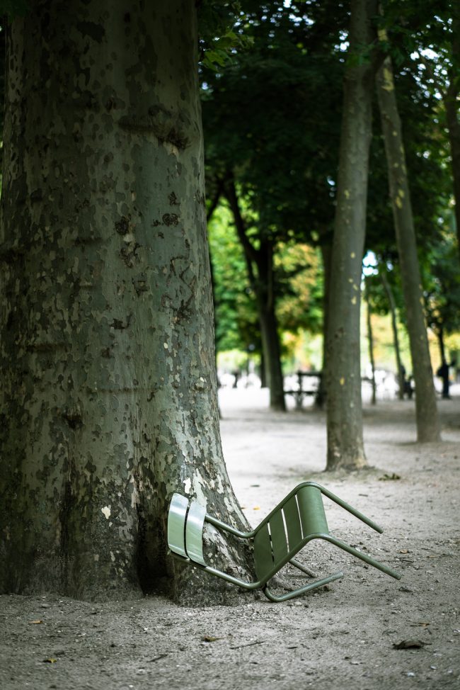 gm_compositions_v_11