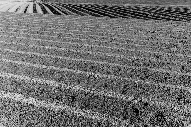 gm_compositions_h_42