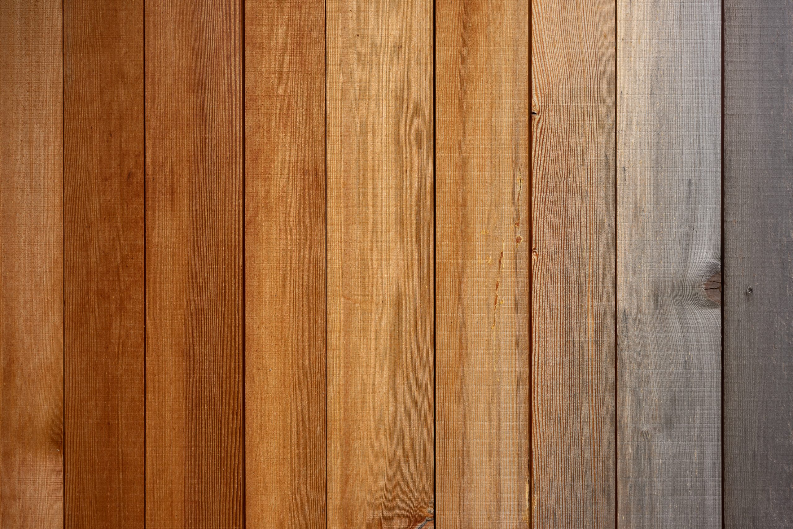 Chapelle Salgenreute | Bernardo Bader